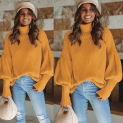 Knitted Long Sleeve Turtleneck Sweater