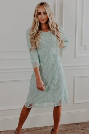 Bell Sleeves Lace Dress