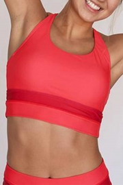 Red Poppy Cut Back Bikini Set
