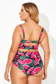 Watermelon Push Up Strapless Underwire Bikini Top